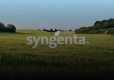 Syngenta. Piccolo machine in VR