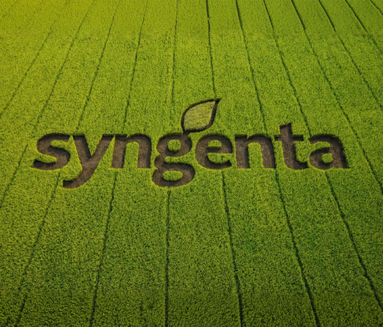 VR for Syngenta